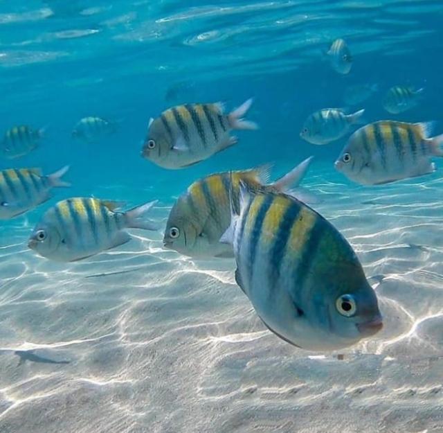 Suites Cavalo Marinho Pôrto das Galinhas Zewnętrze zdjęcie